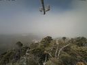 ./images/calvert/lookout/20210621/lookout20210621_104501.jpg