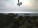 ./images/calvert/lookout/20210622/lookout20210622_055001.jpg