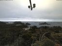 ./images/calvert/lookout/20210622/lookout20210622_060001.jpg