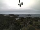 ./images/calvert/lookout/20210622/lookout20210622_082001.jpg