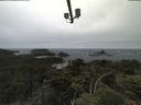 ./images/calvert/lookout/20210622/lookout20210622_090502.jpg