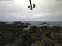 ./images/calvert/lookout/20210622/lookout20210622_094501.jpg