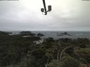 ./images/calvert/lookout/20210622/lookout20210622_100501.jpg