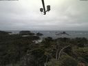 ./images/calvert/lookout/20210622/lookout20210622_104502.jpg