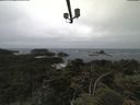 ./images/calvert/lookout/20210622/lookout20210622_105002.jpg
