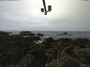 ./images/calvert/lookout/20210622/lookout20210622_120001.jpg