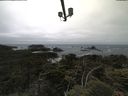 ./images/calvert/lookout/20210622/lookout20210622_131001.jpg