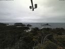 ./images/calvert/lookout/20210622/lookout20210622_134501.jpg