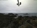 ./images/calvert/lookout/20210622/lookout20210622_143502.jpg