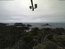 ./images/calvert/lookout/20210622/lookout20210622_144002.jpg