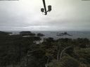 ./images/calvert/lookout/20210622/lookout20210622_144502.jpg