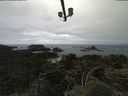 ./images/calvert/lookout/20210622/lookout20210622_145502.jpg