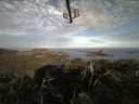 ./images/calvert/lookout/20210623/lookout20210623_065501.jpg