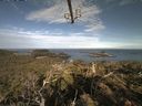 ./images/calvert/lookout/20210623/lookout20210623_075502.jpg