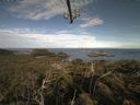 ./images/calvert/lookout/20210623/lookout20210623_080001.jpg