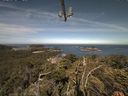./images/calvert/lookout/20210623/lookout20210623_093502.jpg