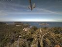./images/calvert/lookout/20210623/lookout20210623_094502.jpg