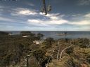 ./images/calvert/lookout/20210624/lookout20210624_122001.jpg