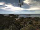./images/calvert/lookout/20210624/lookout20210624_125001.jpg