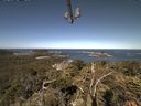./images/calvert/lookout/20210625/lookout20210625_100002.jpg