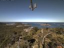 ./images/calvert/lookout/20210625/lookout20210625_100502.jpg