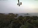 ./images/calvert/lookout/20210629/lookout20210629_045001.jpg