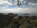 ./images/calvert/lookout/20210629/lookout20210629_120501.jpg