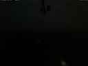 ./images/calvert/lookout/20210630/lookout20210630_045001.jpg