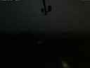 ./images/calvert/lookout/20210630/lookout20210630_045502.jpg