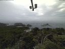 ./images/calvert/lookout/20210630/lookout20210630_145502.jpg