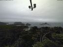 ./images/calvert/lookout/20210630/lookout20210630_154501.jpg