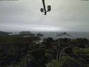 ./images/calvert/lookout/20210630/lookout20210630_155501.jpg