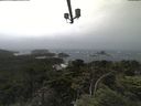 ./images/calvert/lookout/20210630/lookout20210630_164501.jpg