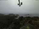./images/calvert/lookout/20210701/lookout20210701_045002.jpg