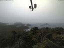 ./images/calvert/lookout/20210701/lookout20210701_074501.jpg