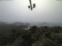 ./images/calvert/lookout/20210701/lookout20210701_084502.jpg