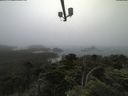 ./images/calvert/lookout/20210701/lookout20210701_085502.jpg