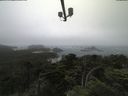 ./images/calvert/lookout/20210701/lookout20210701_091501.jpg