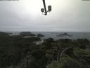 ./images/calvert/lookout/20210701/lookout20210701_102502.jpg