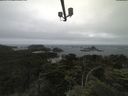 ./images/calvert/lookout/20210701/lookout20210701_111501.jpg