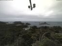 ./images/calvert/lookout/20210701/lookout20210701_114001.jpg
