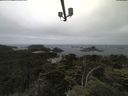 ./images/calvert/lookout/20210701/lookout20210701_120502.jpg