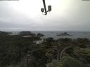 ./images/calvert/lookout/20210701/lookout20210701_132501.jpg
