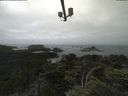 ./images/calvert/lookout/20210701/lookout20210701_141502.jpg