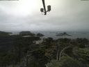 ./images/calvert/lookout/20210701/lookout20210701_142002.jpg