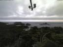 ./images/calvert/lookout/20210702/lookout20210702_050501.jpg