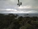 ./images/calvert/lookout/20210702/lookout20210702_074502.jpg