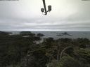 ./images/calvert/lookout/20210702/lookout20210702_084001.jpg