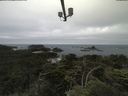 ./images/calvert/lookout/20210702/lookout20210702_092002.jpg