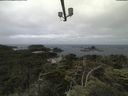 ./images/calvert/lookout/20210702/lookout20210702_105001.jpg